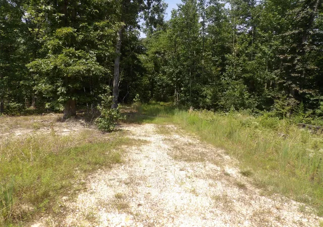 3rd image of 0 Old Union Church Road, Holladay, TN 38341 | MLS# 3505845