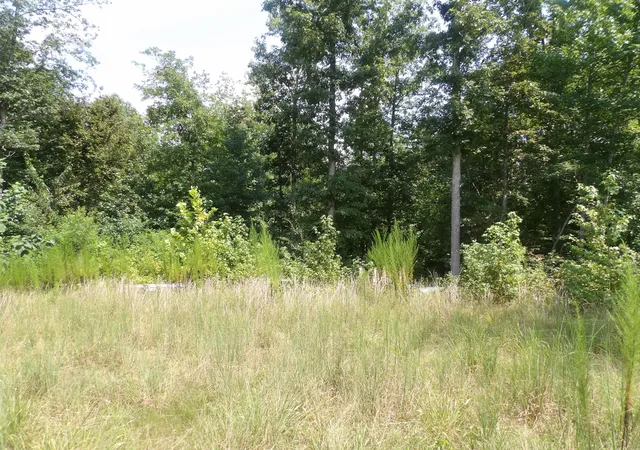 4th image of 0 Old Union Church Road, Holladay, TN 38341 | MLS# 3505845