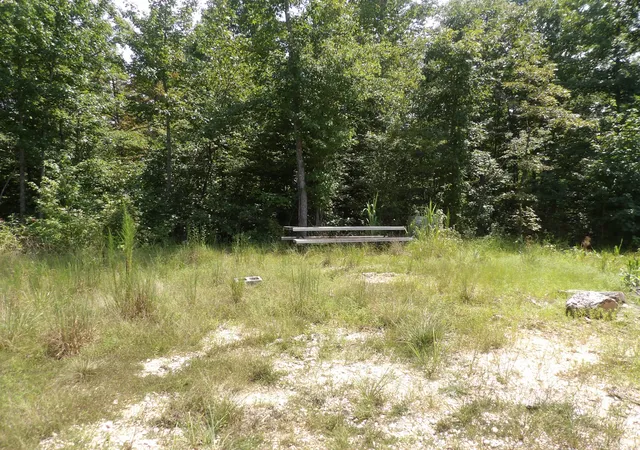 5th image of 0 Old Union Church Road, Holladay, TN 38341 | MLS# 3505845