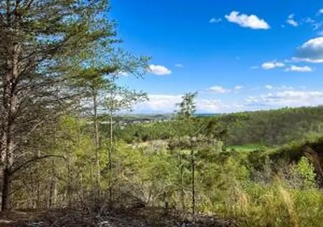 1st image of 0 Owl Hollow Road Sw, Mc Donald, TN 37353 | MLS# 3501357