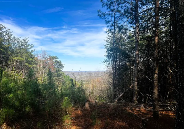 2nd image of 0 Owl Hollow Road Sw, Mc Donald, TN 37353 | MLS# 3501357