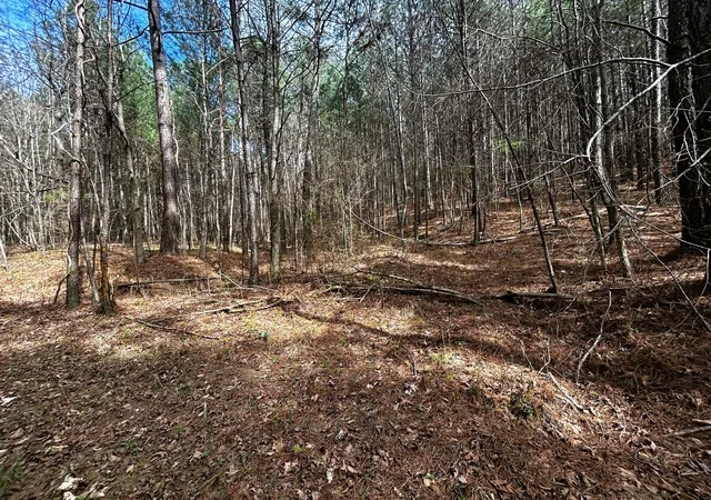 22nd image of 0 Owl Hollow Road Sw, Mc Donald, TN 37353 | MLS# 3501357
