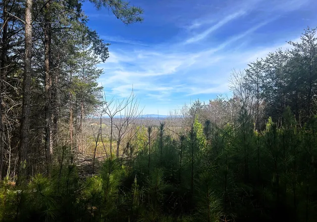 Photo 3 of Sale Pending at 0 Owl Holw Rd Sw, Mc Donald, TN 37353 | MLS# 3501357 | Listing updated on 2026-08-24