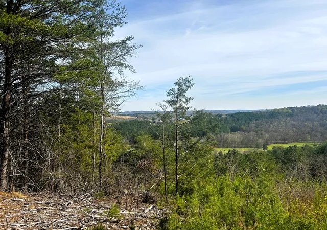 Photo 3 of Sale Pending at 0 Owl Holw Rd SW, Mc Donald, TN 37353 | MLS# 3501357 | Listing updated on 2026-08-24