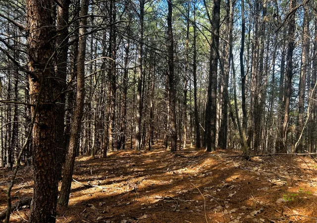 Photo 4 of Sale Pending at 0 Owl Holw Rd SW, Mc Donald, TN 37353 | MLS# 3501357 | Listing updated on 2026-08-24