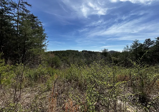 1st image of 0 Owl Hollow Rd Sw, Mc Donald, TN 37353 | MLS# 3501359