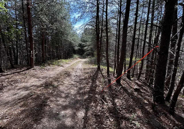 41st image of 0 Owl Hollow Rd Sw, Mc Donald, TN 37353 | MLS# 3501359