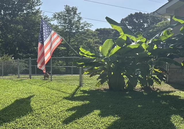 21st image of 124 Joyce Ln, Ashland City, TN 37015 | MLS# 3502056
