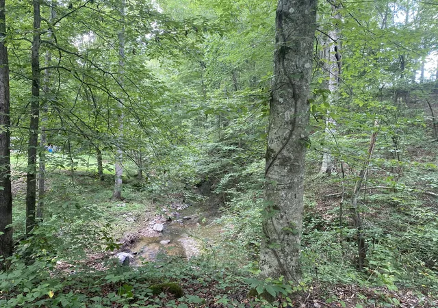 3rd image of 326 Sherman Rd, Charlotte, TN 37036 | MLS# 3514591