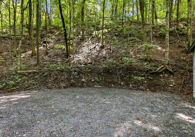3rd image of 225 Coys Cove Ln, Gainesboro, TN 38562 | MLS# 3501412