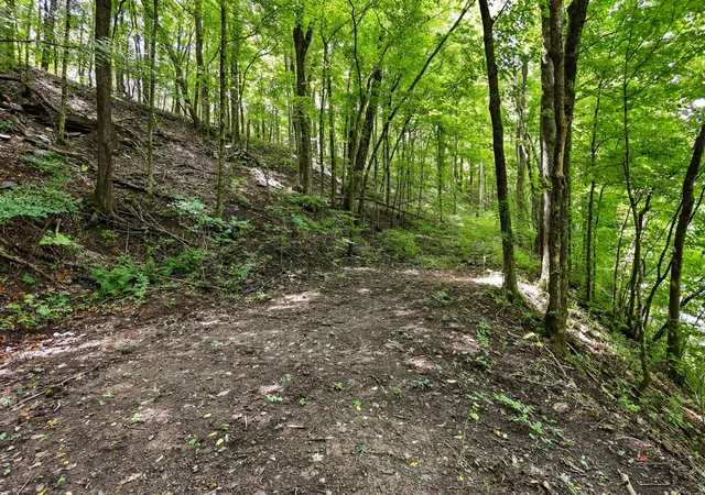 5th image of 225 Coys Cove Ln, Gainesboro, TN 38562 | MLS# 3501412