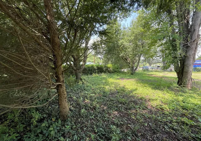 30th image of 402 Long Street, Englewood, TN 37329 | MLS# 3501407