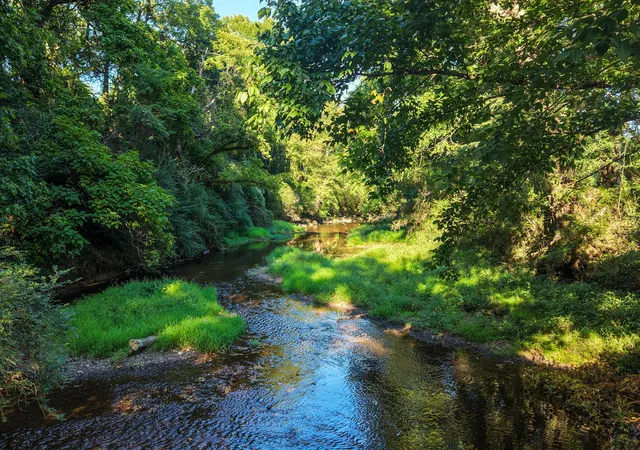 Photo 2 of Land for sale at 1334 Wallace Thompson Rd, Lewisburg, TN 37091 | MLS# 3510372 | Listing updated on 2026-08-25