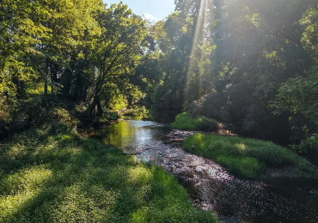 Photo 3 of Land for sale at 1334 Wallace Thompson Rd, Lewisburg, TN 37091 | MLS# 3510372 | Listing updated on 2026-08-25