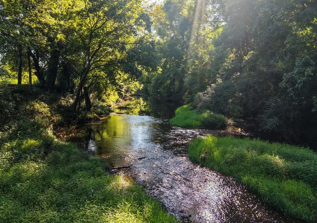 Photo 17 of Land for sale at 1304 Wallace Thompson Rd, Lewisburg, TN 37091 | MLS# 3510335 | Listing updated on 2026-08-25