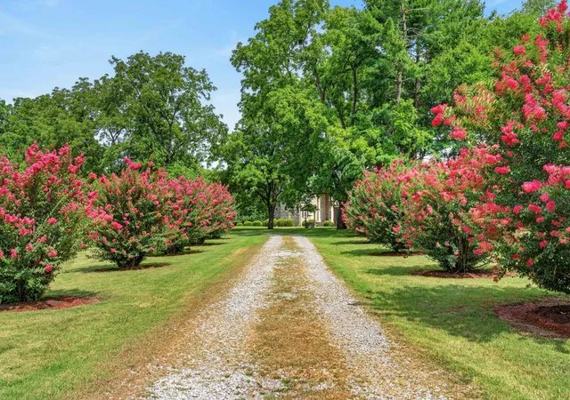 5th image of 924 Laura St, Gallatin, TN 37066 | MLS# 3506502