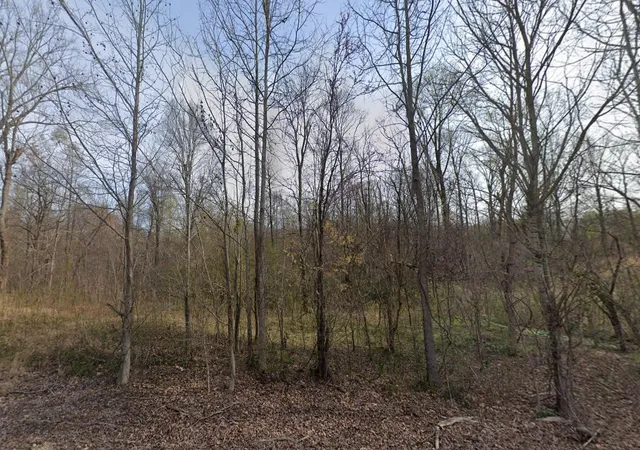 2nd image of 266 Olivers Chapel Rd, Bradford, TN 38316 | MLS# 3502043