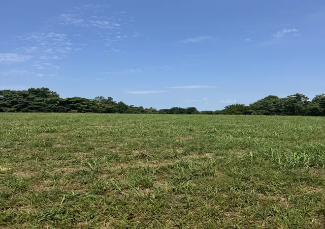 Photo 1 of Land for sale at 0 Ivy Ln, Lafayette, TN 37083 | MLS# 3510423 | Listing updated on 2026-08-12