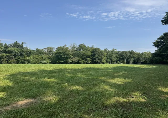 Photo 2 of Land for sale at 0 Ivy Ln, Lafayette, TN 37083 | MLS# 3510423 | Listing updated on 2026-08-12