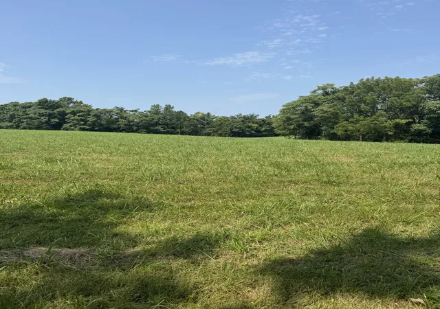 Photo 3 of Land for sale at 0 Ivy Ln, Lafayette, TN 37083 | MLS# 3510423 | Listing updated on 2026-08-12