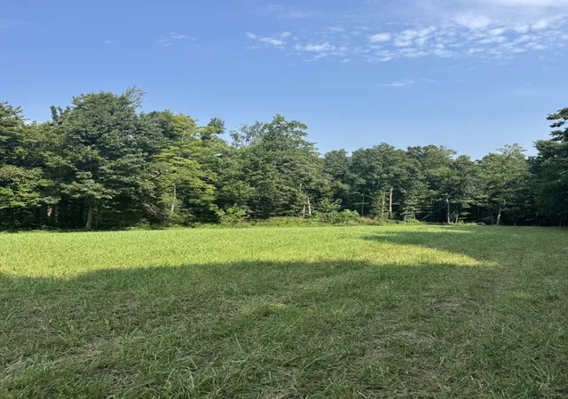 Photo 3 of House for sale at 0 Ivy Ln, Lafayette, TN 37083 | MLS# 3510423 | Listing updated on 2026-08-12