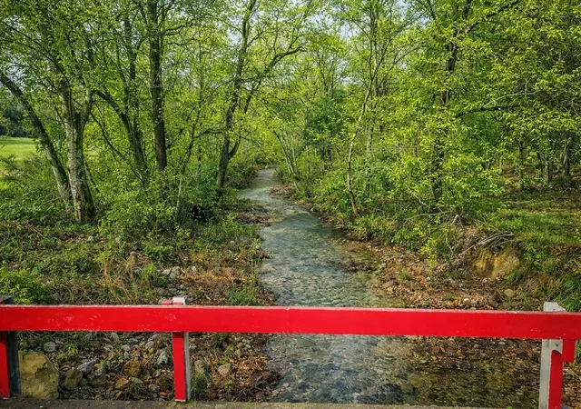Photo 3 of Land for sale at 1783 Agnew Rd, Pulaski, TN 38478 | MLS# 3505827 | Listing updated on 2026-08-10
