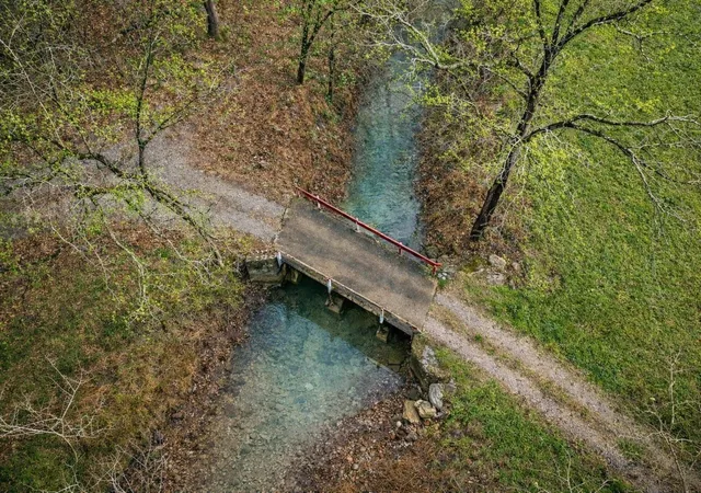 Photo 3 of Land for sale at 1783 Agnew Rd, Pulaski, TN 38478 | MLS# 3505827 | Listing updated on 2026-08-10
