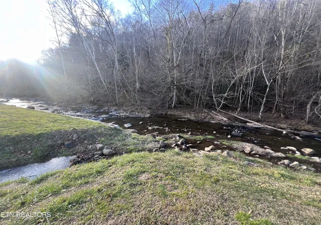 1st image of 0 Blue Mill Rd, Del Rio, TN 37727 | MLS# 3506592