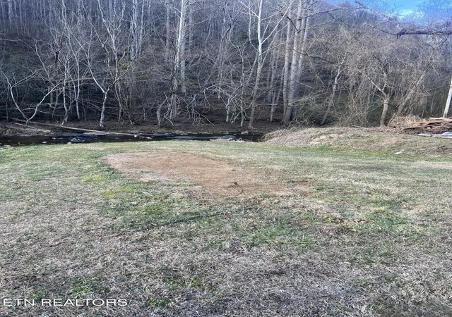 12th image of 0 Blue Mill Rd, Del Rio, TN 37727 | MLS# 3506592
