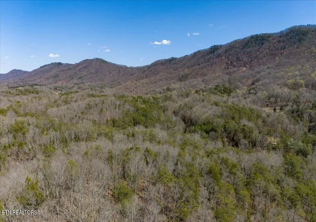 Photo 26 of Land for sale at 0 Wolfenbarger Tract 1, Luttrell, TN 37779 | MLS# 3510756 | Listing updated on 2026-09-04