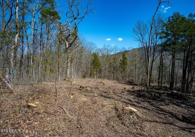 Photo 3 of House for sale at 0 Wolfenbarger Tract 1, Luttrell, TN 37779 | MLS# 3510756 | Listing updated on 2026-09-04