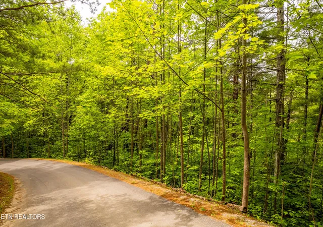 11th image of 914 Stonegate Way, Townsend, TN 37882 | MLS# 3510803