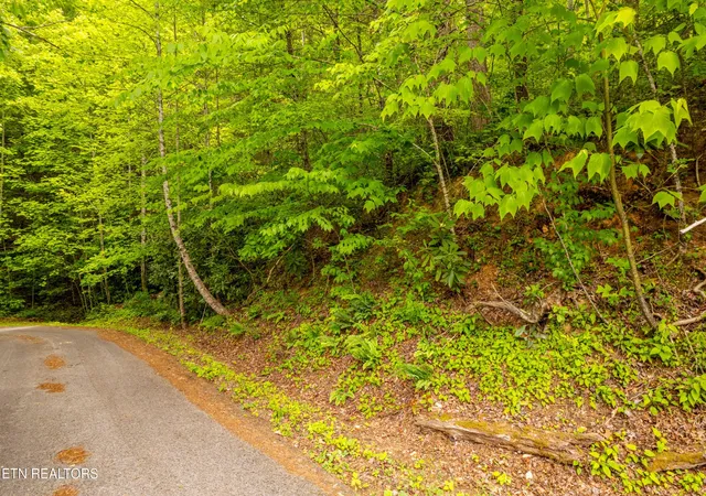 4th image of 914 Stonegate Way, Townsend, TN 37882 | MLS# 3510803