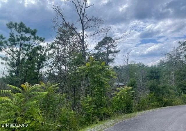 Photo 3 of Land for sale at 0 Lot 4 River Birch Way, Sevierville, TN 37862 | MLS# 3510802 | Listing updated on 2026-09-04