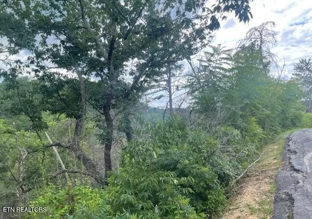 Photo 4 of Land for sale at 0 Lot 4 River Birch Way, Sevierville, TN 37862 | MLS# 3510802 | Listing updated on 2026-09-04