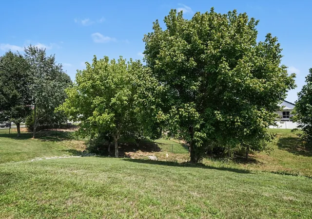 12th image of 225 Daniel St, Pleasant View, TN 37146 | MLS# 3505915