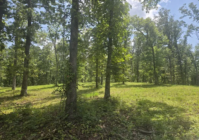 Photo 1 of Land for sale at 655 Dyer Rd, Hurricane Mills, TN 37078 | MLS# 3508232 | Listing updated on 2026-08-12
