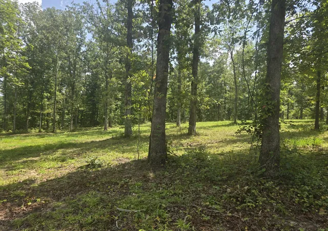 Photo 2 of Land for sale at 655 Dyer Rd, Hurricane Mills, TN 37078 | MLS# 3508232 | Listing updated on 2026-08-12