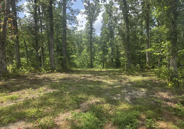 Photo 3 of Land for sale at 655 Dyer Rd, Hurricane Mills, TN 37078 | MLS# 3508232 | Listing updated on 2026-08-12