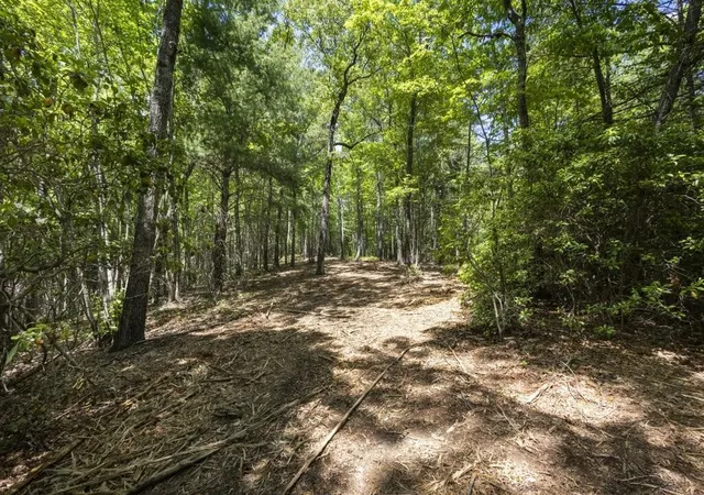37th image of 34 Donley Rd Road, Murphy, NC 28906 | MLS# 3505927