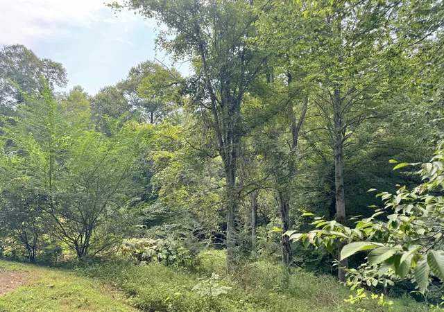 21st image of 1202 Pickle Knight Rd, Joelton, TN 37080 | MLS# 3506004