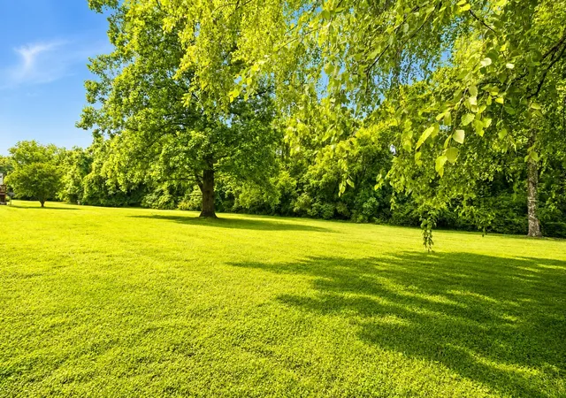32nd image of 1273 Carriage Park Dr, Franklin, TN 37064 | MLS# 3506002