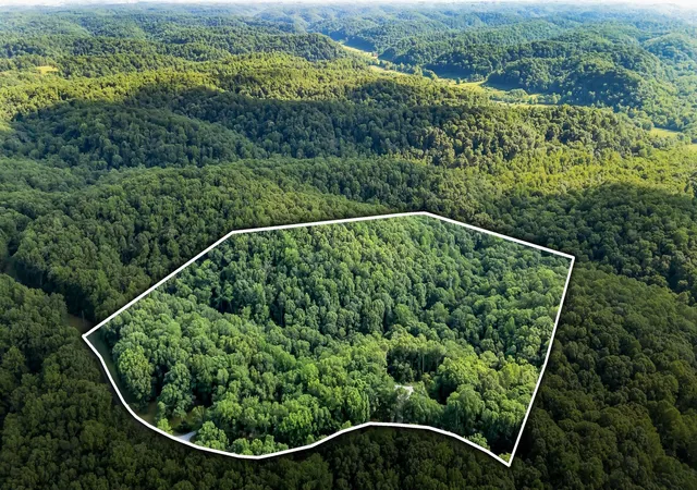 3rd image of 4545 Scenic Hills Ln, Franklin, TN 37064 | MLS# 3510992