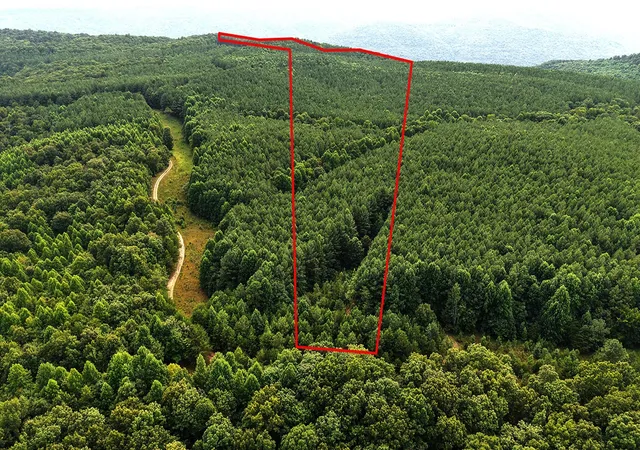 2nd image of 0 Preservation Dr, South Pittsburg, TN 37380 | MLS# 3506007