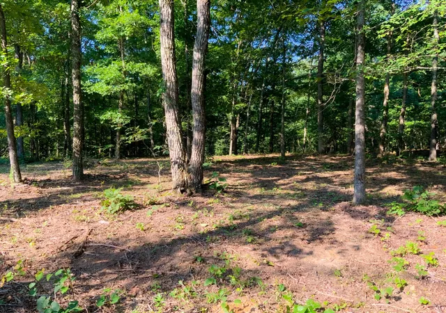 Photo 2 of Land for sale at 0 Highway 232, Dover, TN 37058 | MLS# 3514572 | Listing updated on 2026-08-23