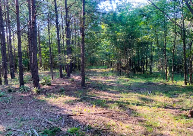 2nd image of 0 Hwy 232, Dover, TN 37058 | MLS# 3514572