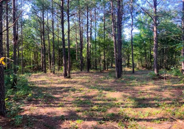 Photo 3 of Land for sale at 0 Highway 232, Dover, TN 37058 | MLS# 3514572 | Listing updated on 2026-08-23