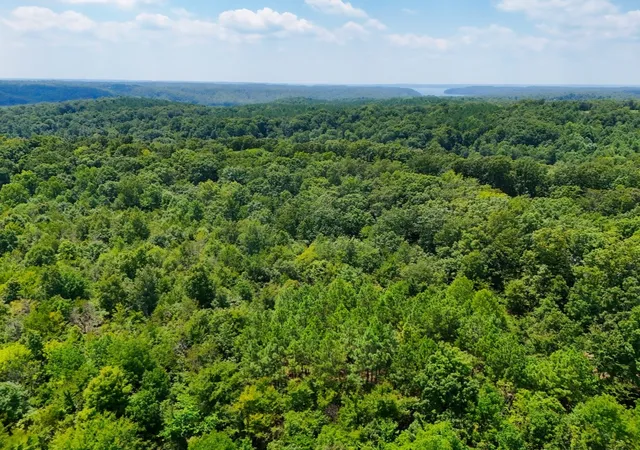 21st image of 0 Hwy 232, Dover, TN 37058 | MLS# 3514572