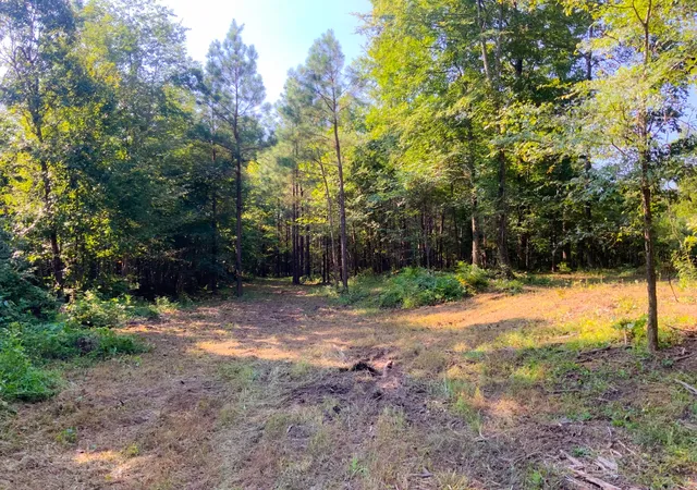 Photo 4 of Land for sale at 0 Highway 232, Dover, TN 37058 | MLS# 3514572 | Listing updated on 2026-08-23