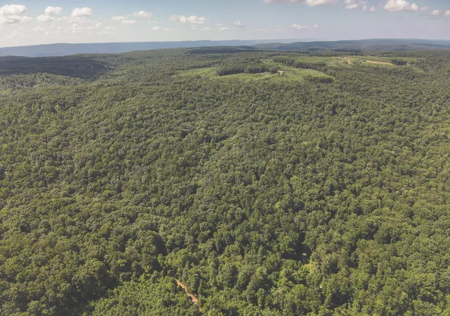 3rd image of 0 Grapevine Road, Crossville, TN 38572 | MLS# 3506123